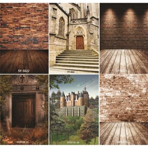 ZHISUXI Vinyl Custom Photography Backdrops Prop Castle Photography Background #6001