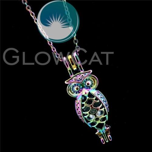 R-C593 Colorful Owl Birds Beads Cage Pendant Aromatherapy Perfume Diffuser Stone Pearl Cage Locket Necklace