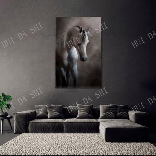 Arabian Horse Portrait Black White Canvas Print Home Art Decor