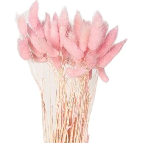 30Pcs Gradient Lagurus Ovatus Natural Dried Flowers Bouquet DIY Wedding Home Christmas decoration Rabbit Tail Grass Real Flowers