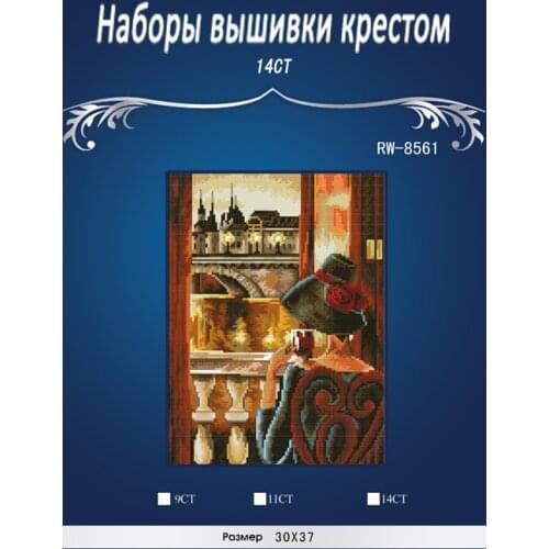 Looking over the window Stitch,DIY 14CT DMC Cross Stitch,Sets For Embroidery Kits,Poppy Flower Vase Counted Cross-Stitching