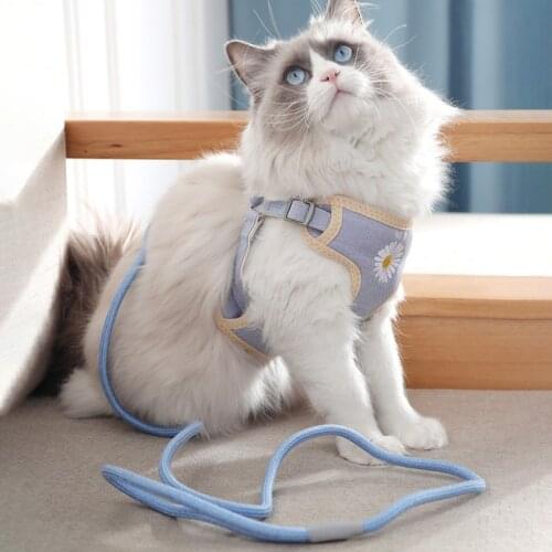Cat Dog Harness Vest Collar Outdoor Walking Lead Leash Set For Puppy Dogs Collar Cute Daisy Harness Vest For Dog Cat Pet