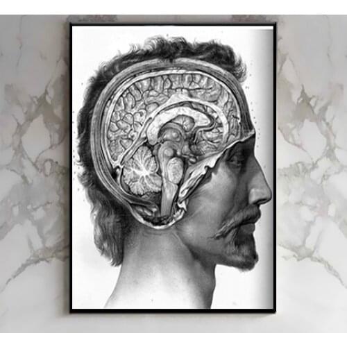 Vintage Brain Anatomical Drawings Poster Canvas Painting DIY Wall Paper Posters Home Decor Gift
