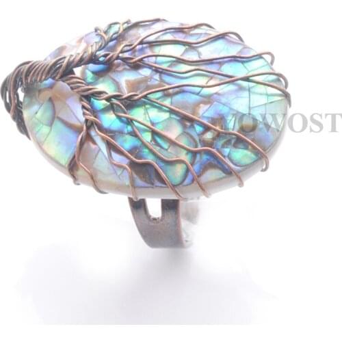 Adjustable Finger Rings For Women Man Jewelry Gift Bronze Wire Wrap Oval Paua Abalone Shell New Zealand Resizable QX3087