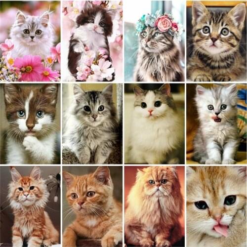 HUACAN Flower Cat Oil Painting By Numbers Animals Handpainted Unique Gift Pictures By Numbers For Adults Home Decoration