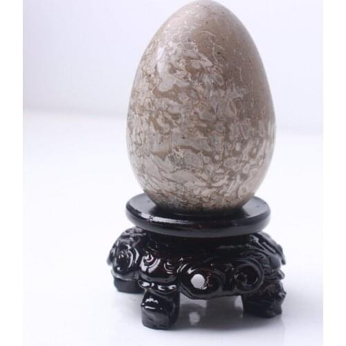 1Pc RARE Large Fossilized Plesiosaurus DINOSAUR BONE egg Specimen carved grinding polished free stand