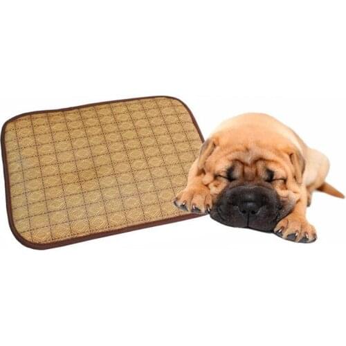 Summer Pet Ice Mat Removable And Washable Sponge Dog Cushion Breathable Mat Liangdian Hair