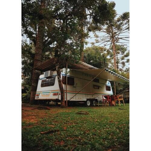 Lawn Tree Limo Vinyl Photo Background Scenic Computer Printed Photography Backdrops Photocall Photo for Baby Camera Photo