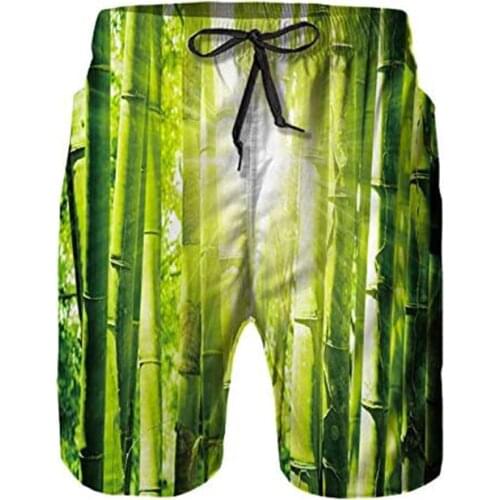 Mens Quick-Drying Surfing Beach Shorts,Sports and Leisure Elastic Band Swim Short Pants S