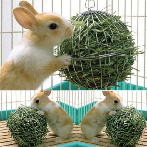 Stainless Steel Ball Shape Grass Grame Pet Feed Dispenser Bunny Guinea Rabbit Small Animal playing Hanging Ball Toy