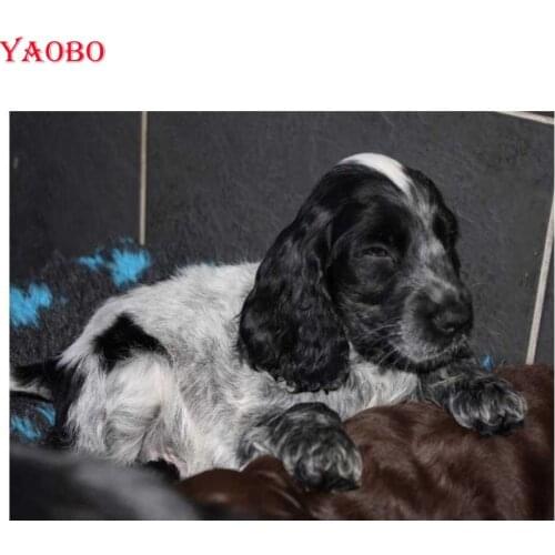 Full Square Diamond Painting British cocker spaniel Diamond Mosaic Animal dog 5D DIY Diamond Embroidery Rhinestone Decoration