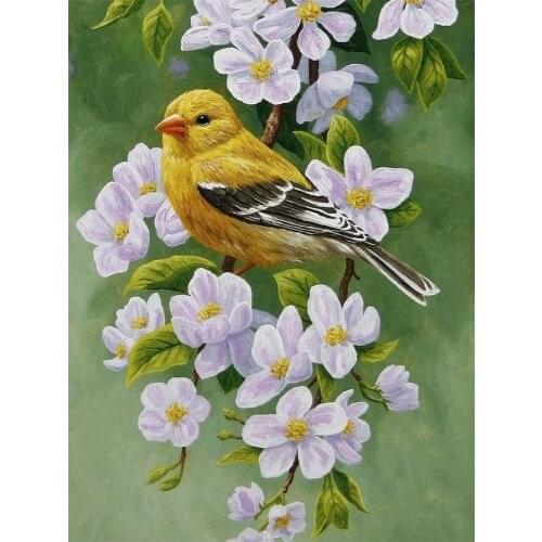 Bird Animal Printed Fabric 11CT Cross Stitch Set Embroidery DMC Threads Knitting Handmade Hobby Handiwork For Adults Decor