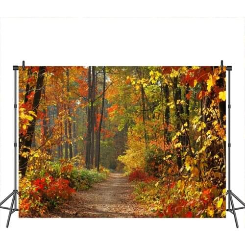 Neoback Autumn Photographic Background Forest Fallen Leaves Road Scencry Banner Decoration Photography Backdrops Studio Shoots