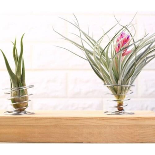 20 Pack Air Plant Stand Container Tillandsia Holder, Stainless Steel Wire Stand GXMA