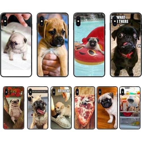 Amazon Black Soft TPU Protector Phone Cases Cool Crazy Pug Puppy Dog For Samsung Galaxy A70 A71 A70E A5 A6 A7 A8 A10 A10S A20