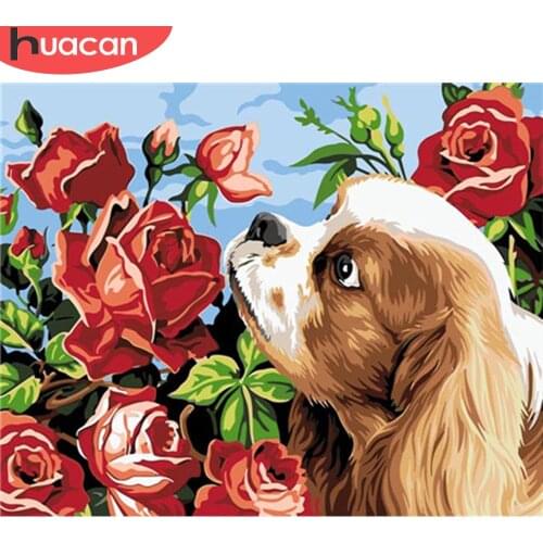 HUACAN Painting By Numbers Flower Dog Kit Drawing On Canvas Picture By Numbers Animal Wall Art HandPainted DIY Gift Home Decor