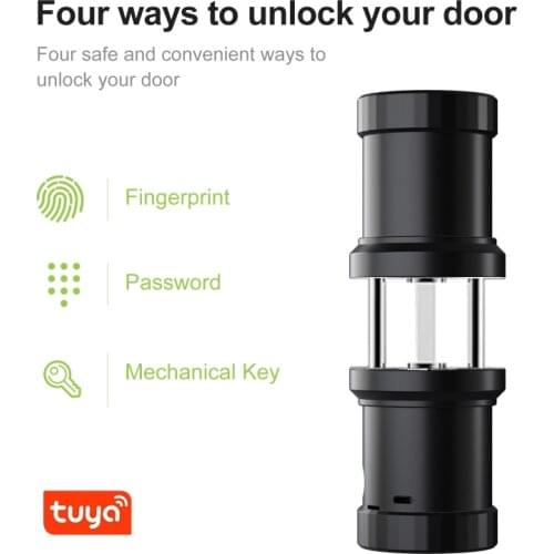 TUYA Fingerprint Lock Bluetooth APP Access Control Biometric Smart Ball Lock Digital Password Door Lock Four Unlocking Method