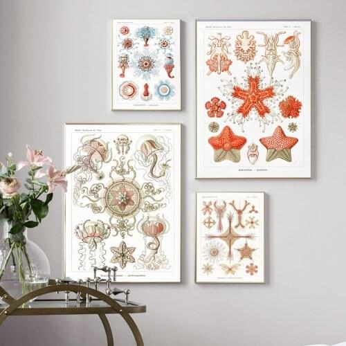 Marine Creatures Vintage Poster Jellyfish Corals Green Algae Sea Anemones Squirts Starfish Canvas Print Wall Art Canvas Painting
