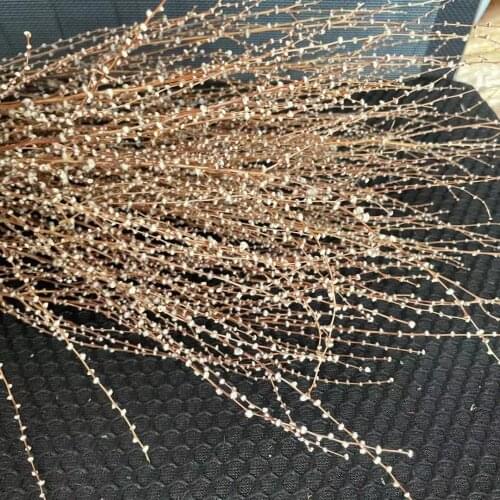 50g/30-40cm,Natural Dried Snow Twig branches,Real Display Dry Cane grass Branch for wedding Home party Decoration Accessories