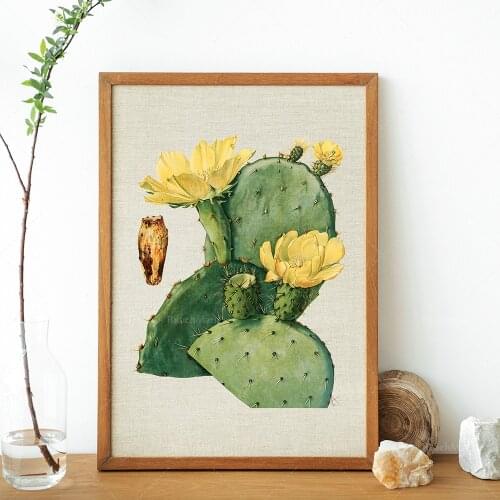 Vintage cactus prints, cactus flowers, vintage botanical prints, French wall art, succulent art, hipster art, Bohemian New Mexic