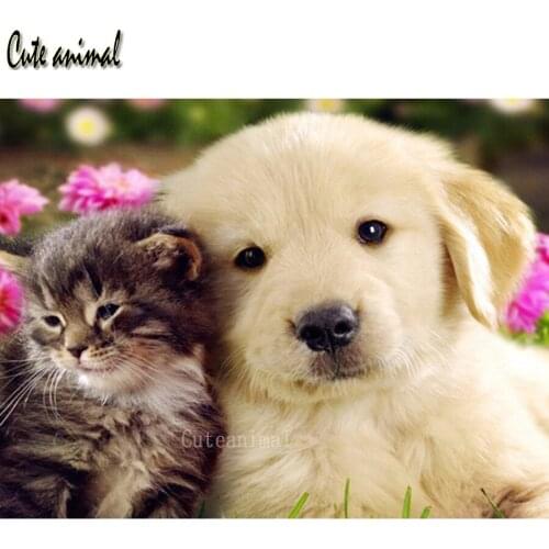 Cat dog cute pet diamond mosaic set diamond Embroidery full round square drills 5d diy diamond painting home art puzzle decor