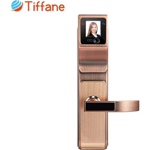 Tiffine Smart Door Lock Biometric Face Recognition 3D Technology IR Optics Palmprint Password Key Card Unlock for Home Door