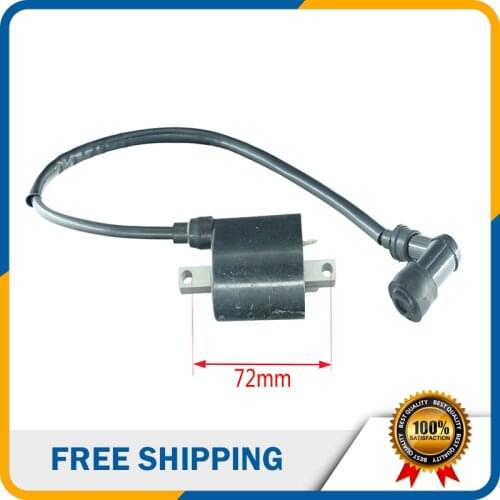 Quad ignition coil for 250cc 300cc Feishen Jinliang Linhai ATV Motorcycle Water cooled DQ-189