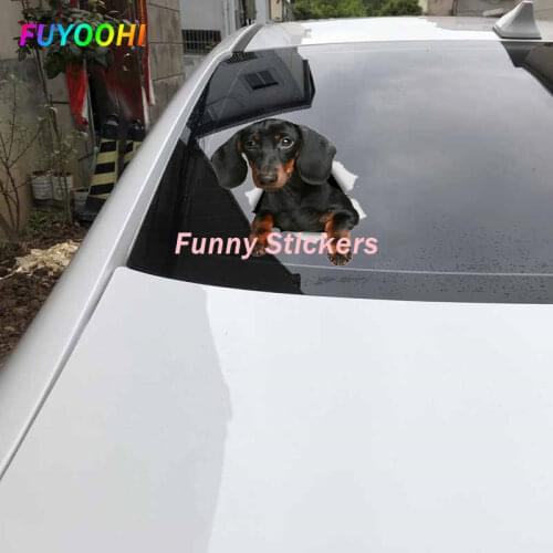 FUYOOHI Skateboards And Scooters