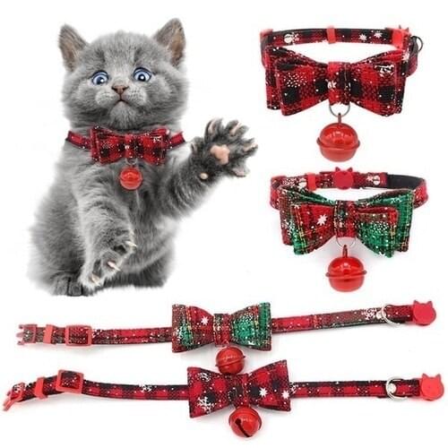 RIGWARL Products For Cats