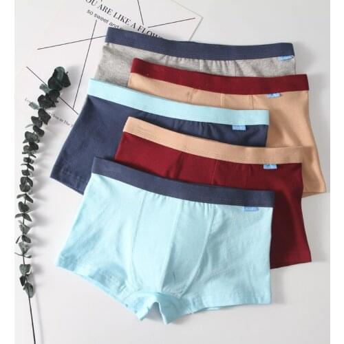 3 Pieces Boys Underwear Fashion Teens Boy Boxers Children Panties Kids Underpants Cotton Teenagers Boxer Boys Shorts Breathable