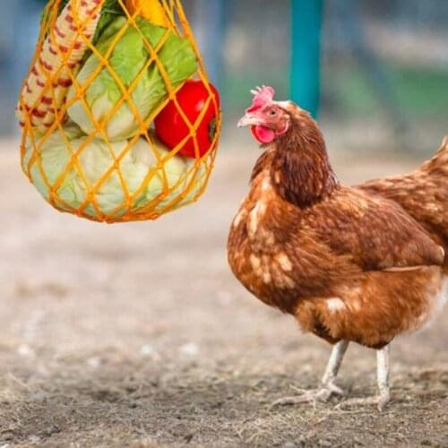 69HF Chicken Vegetable String Bag Poultry Fruit Holder Chicken Cabbage Feeder Treat Feeding Tool with Hook 4 Pieces for Hen