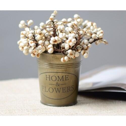 30g 10-15cm,Natural Real White Fruits Bunch,Eternal Dried Flower Wedding DIY Christmas Garland Home Room Decoration Accessories