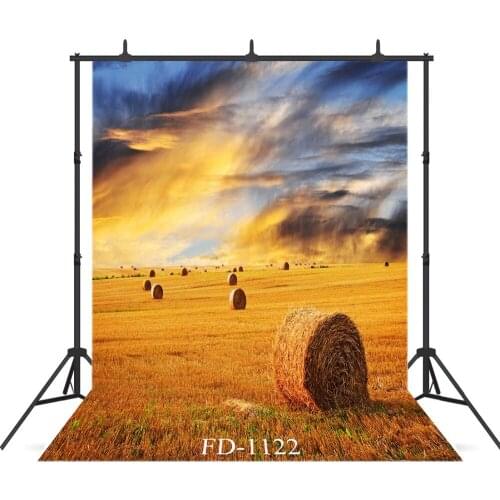 Grass Field Under The Sunset Vinyl Background For Photo Shoot Props Children Baby Portrait Baby Shower Cloth Photo Backdrops