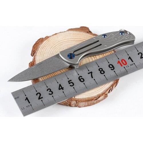 Freewolf Mini Small Folding Knife Keychain Knife D2 Stone Wash Blade TC4 Titanium Handle Outdoor EDC Pocket Knives H0127