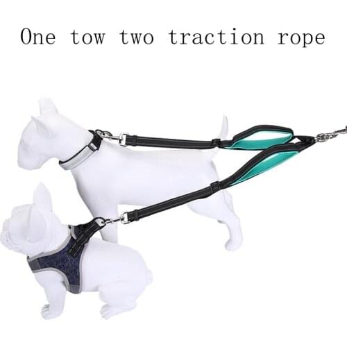 Rabbi tree Collars, Harnesses And Leashes