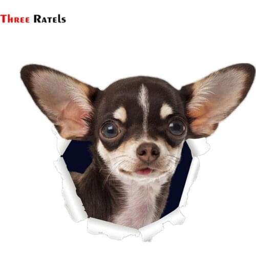 Three Ratels QD32 Cute 3D Torn Metal Design Chihuahuas Dog Cartoon Car Sticker
