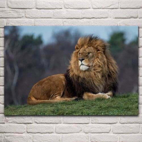 King lion predator wildlife big cat dangerous animals artwork living room home decor art print wood frame fabric poster KP040