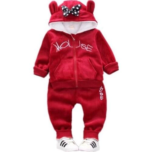 Autumn Winter New Baby Girls Clothes Children Boys Cartoon Hooded Jacket Pants 2Pcs/sets Toddler Cotton Costume Kids Tracksuits