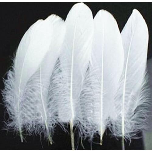 Free shipping!Hot Sale! New! 200pcs/lot 10-18cm white Goose Coquille Feathers Wide Black Feathers