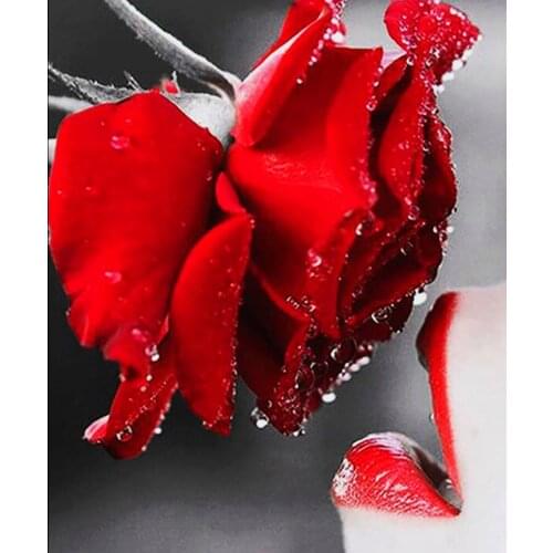 Flowers diy Crystal 5D diamond painting diamond mosaic handcraft bead embroidery full drill square rhinestones cross stitch kit