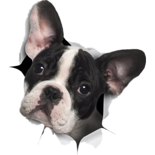 S41021# Funny Self-Adhesive Decal Black & White French Bulldog Car Sticker Waterproof Auto Decors on Bumper Rear Window