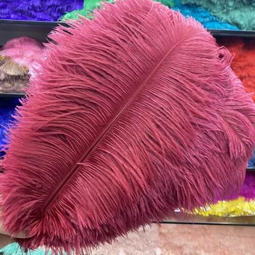 Hot Sale 100pcs/lot High Quality Ostrich Feather Carnival Craft Celebration Christmas Party Diy Plumas De Faisan Plumes