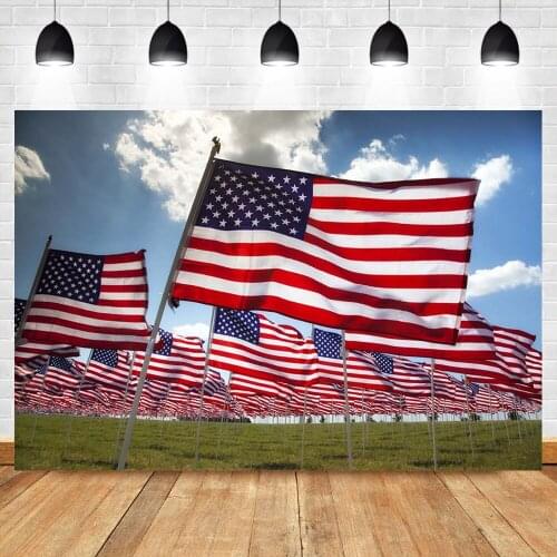 American Flag Backdrop Independence Day Photography Background Lawn Blue Sky White Clouds Photo Props Studio Booth Background