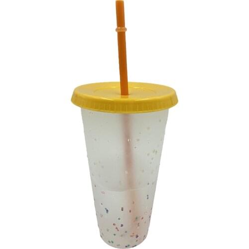 700ml Rainbow Straw Cup Food Grade Reusable PP Plastic Color Changing Bottle with Lid for Office