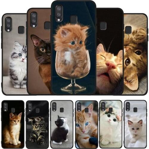 Funny Cat phone Case For Samsung A10 A20E A30 A40 A50 A60 A70 M10 M20 M30S M40 A01 A21 A31 A51 A71 4G Cover