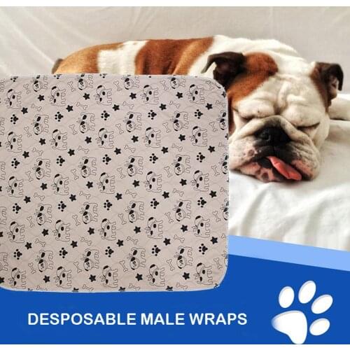 Pet Dog Pee Diaper Mat Pad Three-layer Waterproof PVC Cute Pattern Cat Urine Pad Reusable Washable Pee Mattress Cushion