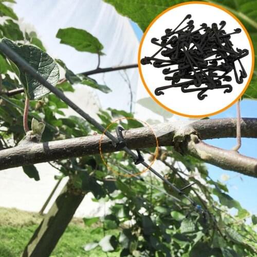 50Pcs Durable Plastic Clips Lightweight Small Plant Fixing Clips Vine Support Tied Bundle Branch Gadgets for Outdoor
