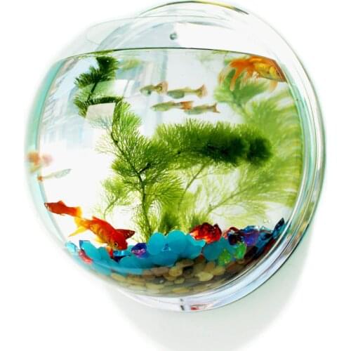 Pinsjar Home Aquariums