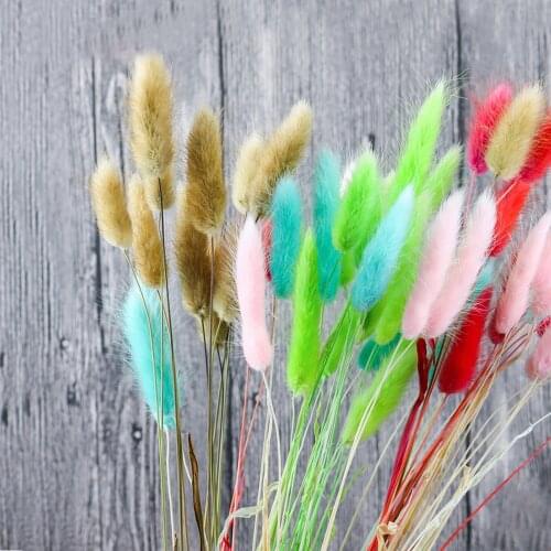 50pcs dried natural flower bouquets colorful Lagurus ovatus bouquets&Uraria picta&rabbit tail grass bouquets bunches