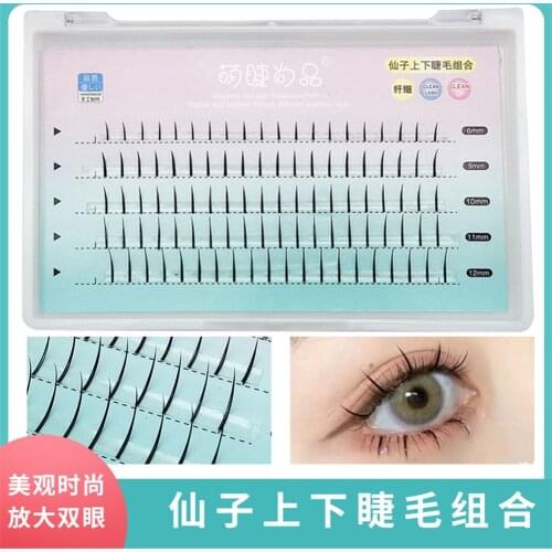 Fairy Hair Grafting Eyelashes Top To Bottom Mixed Fairy Model Segmented Natural And Lifelike Single-cluster Planting Eyelashes